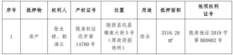 陇西鹿鸣-尊龙凯时人生就是搏债权资产营销布告_11_副本.png