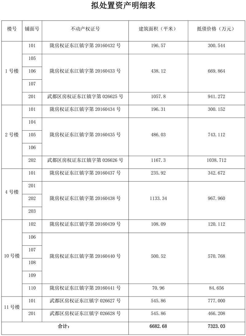拟措置资产明细表_01.png